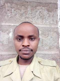 portrait headshot person