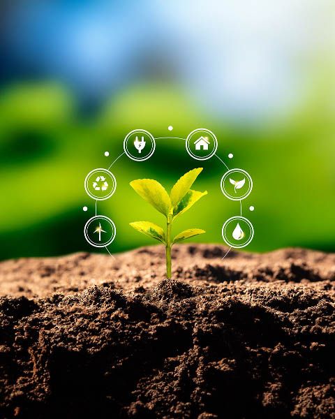 Data-driven agriculture with digital tools