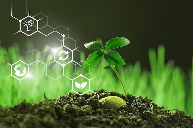 Innovative green research and development