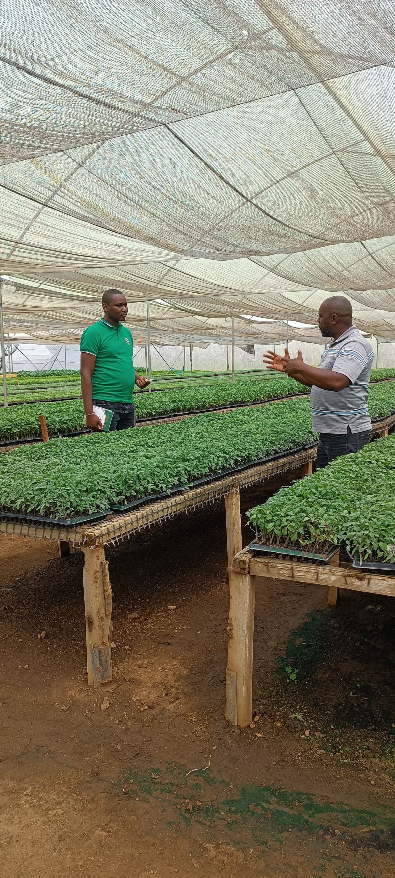 Post-Harvest Loss Innovation Drive