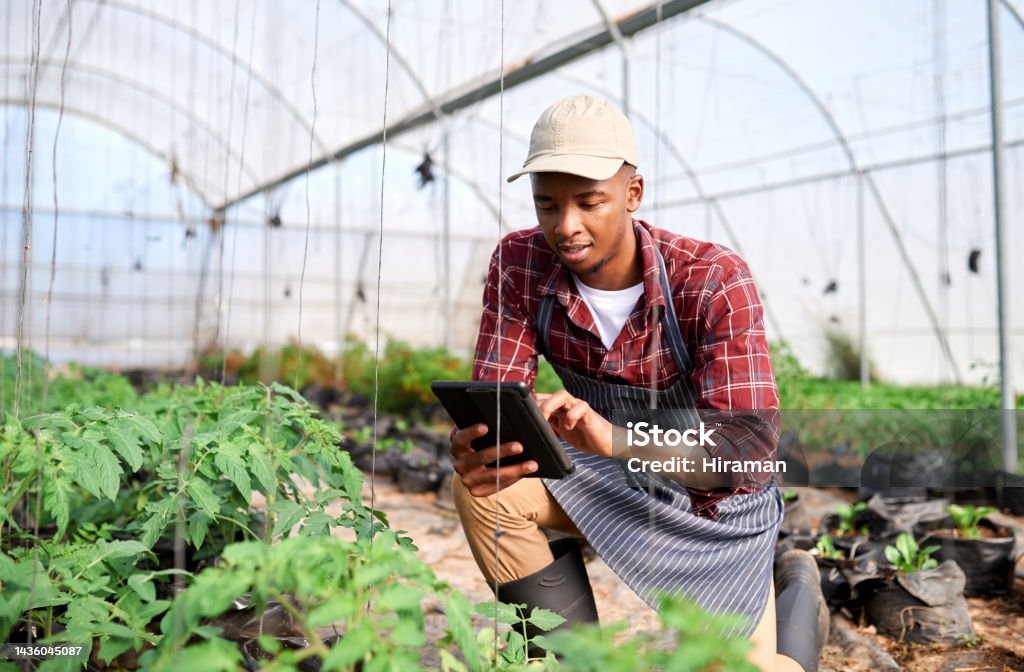 Sustainability analytics dashboard